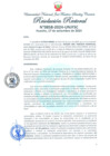 Vista preliminar de documento Resolución Rectoral