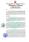 Vista preliminar de documento Resolución Rectoral