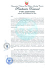 Vista preliminar de documento Resolución Rectoral