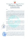 Vista preliminar de documento Resolución Rectoral
