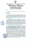 Vista preliminar de documento Resolución Rectoral