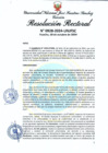 Vista preliminar de documento Resolución Rectoral