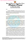 Vista preliminar de documento Resolución Rectoral