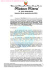 Vista preliminar de documento Resolución Rectoral