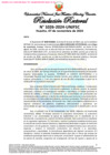 Vista preliminar de documento Resolución Rectoral