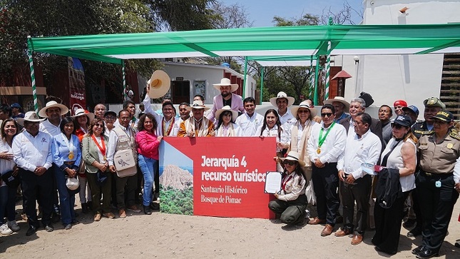 jerarquia 4 pomac