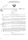 Vista preliminar de documento RDR 3509-2024