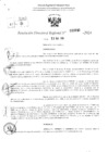 Vista preliminar de documento RDR 3510-2024