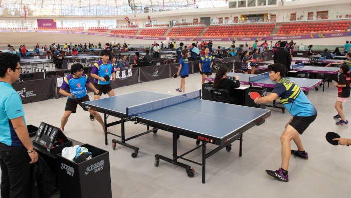 Tenis de mesa