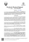 Vista preliminar de documento RDR Nº 4117-2024-GRSM-DRE