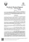 Vista preliminar de documento RDR Nº 4119-2024-GRSM-DRE