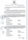 Vista preliminar de documento RGSR 380-2024