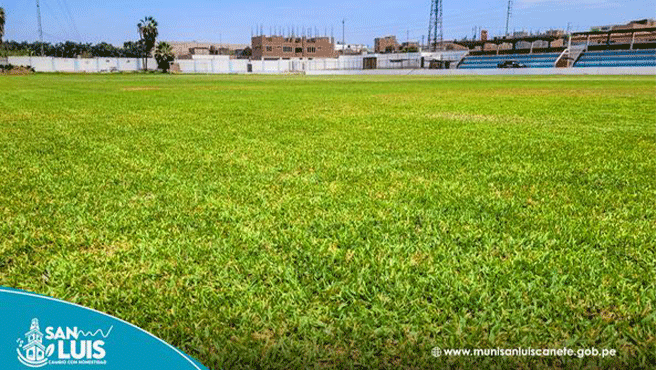 ESTADIO-1.gif