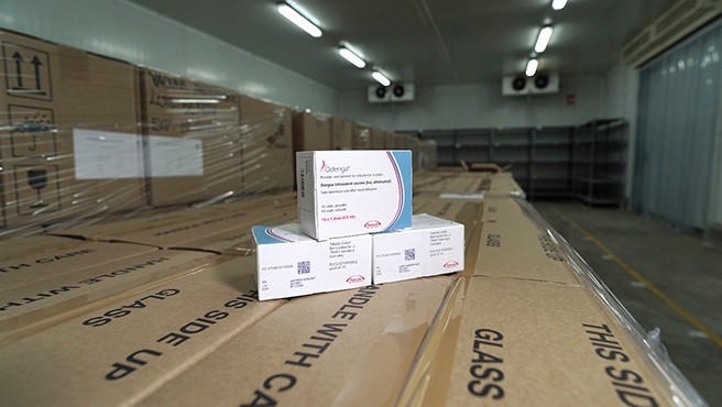Vacunación piloto contra el dengue iniciará el sábado 23 en cuatro regiones priorizadas del país