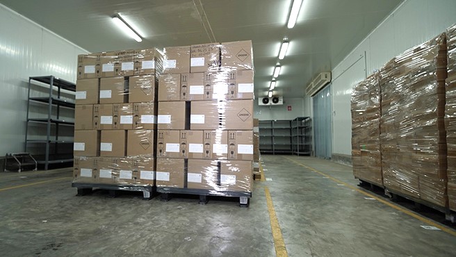 Vacunación piloto contra el dengue iniciará el sábado 23 en cuatro regiones priorizadas del país