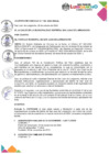 Vista preliminar de documento ac106-mdsjl-2024