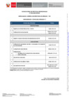 Vista preliminar de documento Cronograma de Practicas Profesionales N° 029-2024