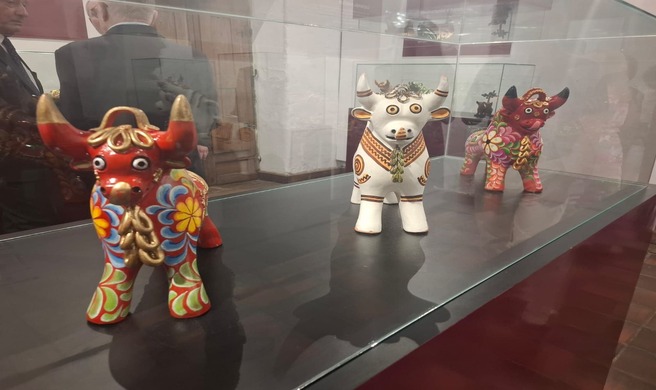 Torito