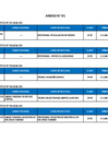 Vista preliminar de documento Anexo 01