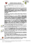 Vista preliminar de documento RESOLUCION DE GERENCIA GENERAL REGIONAL-000482-2024-GG