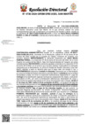 Vista preliminar de documento Resolución Directoral N° 4730-2024-GRSM-DRE-UGEL-SAN-MARTIN