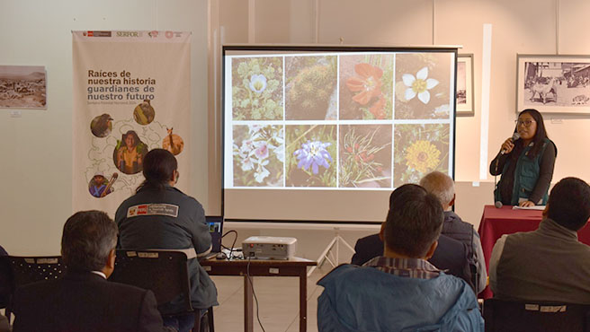 Agenda Regional de Investigación Forestal y de Fauna Silvestre