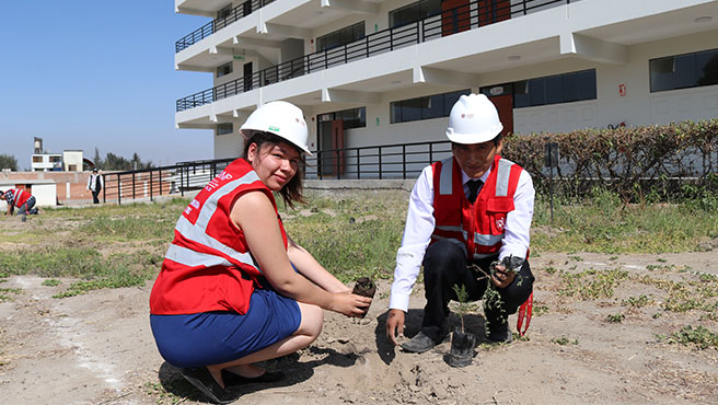 reforestar campus universitario