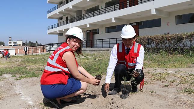 reforestar campus universitario 