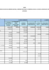 Vista preliminar de documento Anexo_DS231_2024EF