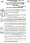 Vista preliminar de documento RESOLUCIÓN DE GERENCIA MUNICIPAL N° 265-2024-MDY-GM