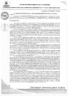 Vista preliminar de documento RGMN311-2024