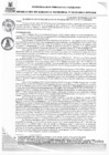 Vista preliminar de documento RGMN313-2024
