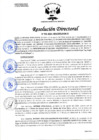 Vista preliminar de documento RESOLUCION DIRECTORAL 193-2024-HCM