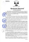 Vista preliminar de documento RESOLUCION DIRECTORAL 196-2024-HCM