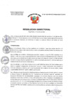Vista preliminar de documento Resolución Directoral N° 467-2024-GR-HCO/DIRESA/RSLP/DE/OCIS