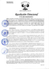 Vista preliminar de documento RESOLUCION DIRECTORAL 216-2024-HCM