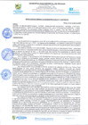 Vista preliminar de documento rgi711