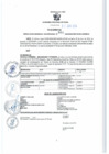 Vista preliminar de documento RGSR 390-2024
