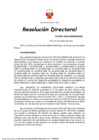 Vista preliminar de documento RD 563-2024-MINEM-DGM