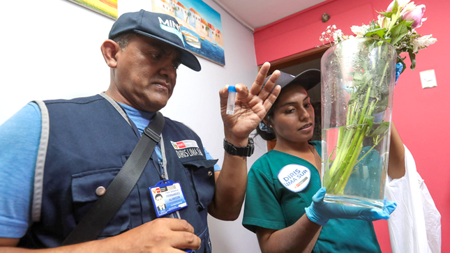 DIRIS Lima Sur intensifica la lucha contra el dengue con la intervención de 90,212 viviendas en cinco distritos de su jurisdicción
