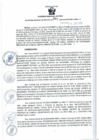 Vista preliminar de documento RGSR 391-2024