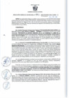 Vista preliminar de documento RGSR 393-2024