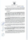 Vista preliminar de documento RGSR 394-2024