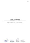 Vista preliminar de documento A.13