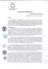 Vista preliminar de documento R.A 156-24-OEA
