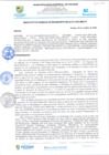 Vista preliminar de documento rgi731