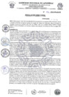 Vista preliminar de documento RESOLUCION DIRECTORAL 593-2024-HSR-AND-DE