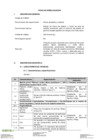 Vista preliminar de documento 2. Harina de plátano y castaña