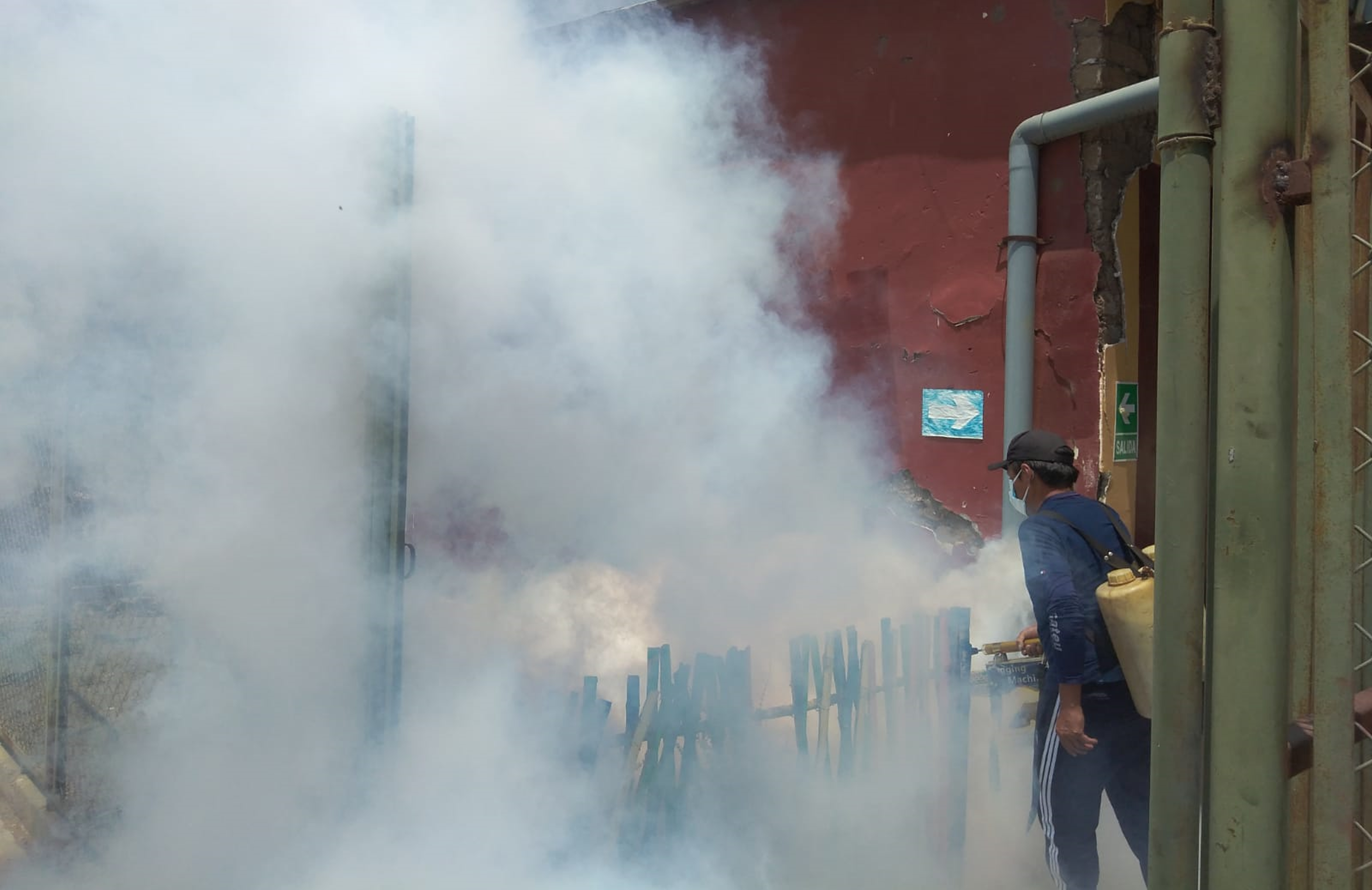 Archivo JPG de la fumigación