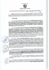 Vista preliminar de documento RGSR 399-2024